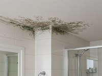 Cómo prevenir las humedades por condensación en el baño: causas y soluciones efectivas