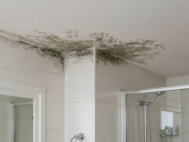 Cómo prevenir las humedades por condensación en el baño: causas y soluciones efectivas