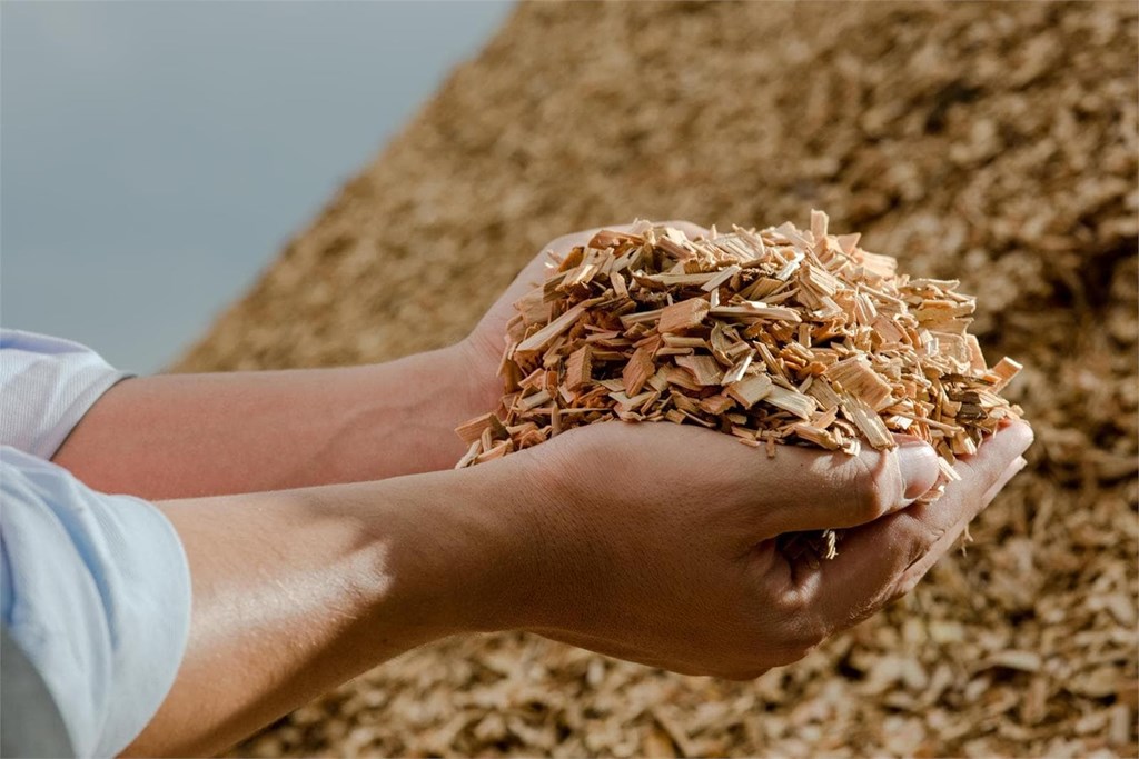 Diferencias entre instalar una estufa de pellets o una estufa de leña
