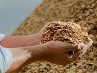 Diferencias entre instalar una estufa de pellets o una estufa de leña