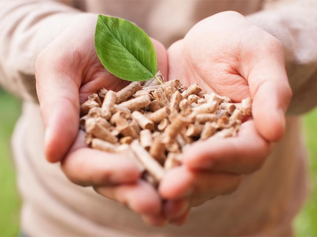 ¿Qué combustible de biomasa elegir?