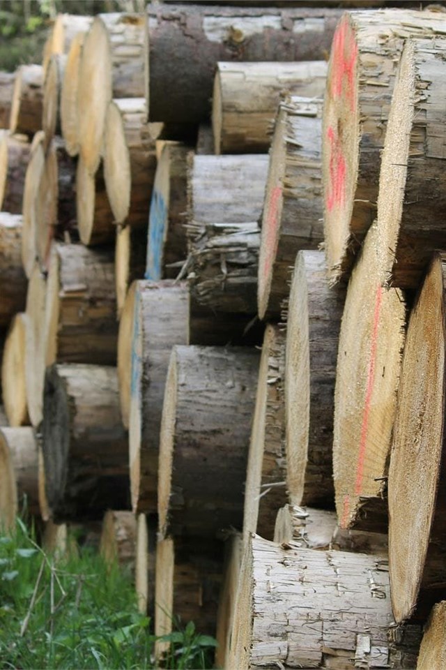 ¿Qué es la biomasa y qué ventajas tiene?