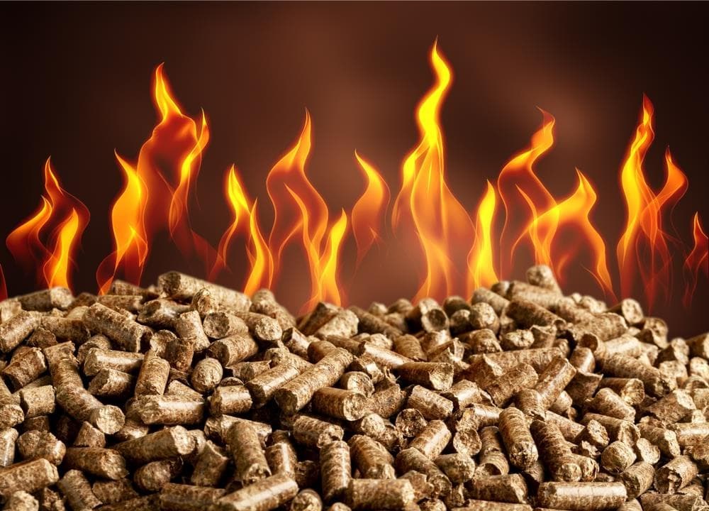¿Qué son las calderas de biomasa?