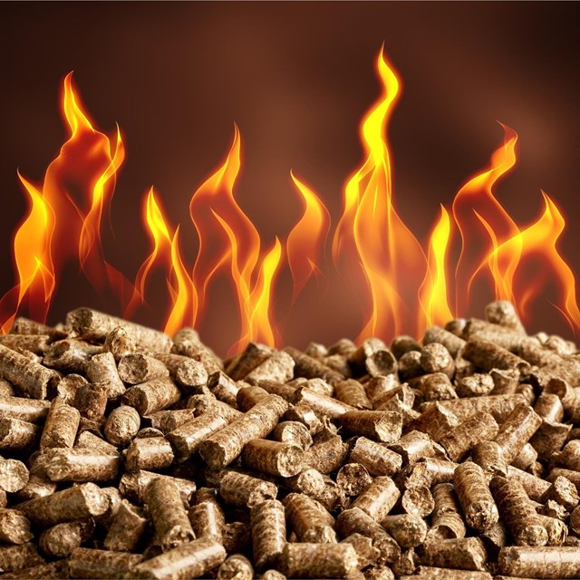 ¿Qué son las calderas de biomasa?